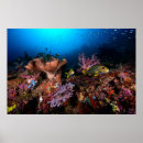 Search for scuba diving posters Adventure