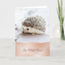 Search for get well cards Sweet