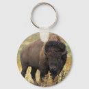 Search for buffalo round key rings Nature