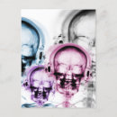 Search for skeleton xrays postcards Skulls