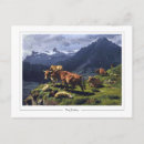 Search for rosas postcards Rosa bonheur