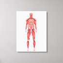 Search for human representation Digitally generated image