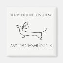 Search for funny lines magnets Cute