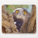 Search for eagle photos mousepads Animal