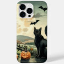 Search for pumpkin cat iphone cases Autumn