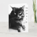Search for kitten halloween cards Black
