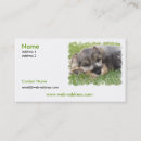 Search for schnauzer business cards Pets
