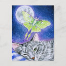 Search for luna moth postcards Moon