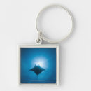 Search for underwater key rings Low angle view
