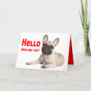 Search for funny hello cards Thinking of you