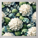 Search for hydrangea posters White flowers