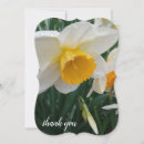 Search for daffodil thank you cards Thanks