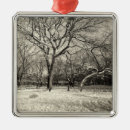 Search for nyc christmas tree decorations Snow