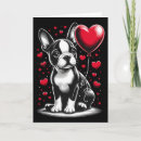 Search for boston terrier valentines day cards Angel