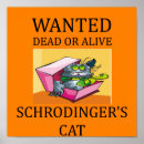 Search for schrodinger cat posters Physics