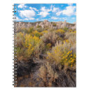Search for limestone county Desert