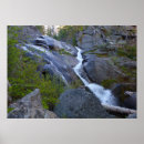Search for wilderness art Forest