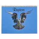 Search for raptor calendars Wildlife