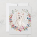 Search for west note cards Dog