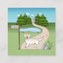 Search for english cream golden retriever Cute