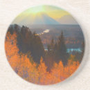Search for aspen coasters Nature