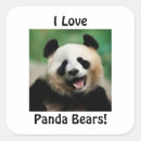 Search for love bears stickers Panda