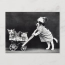 Search for humane postcards Cute