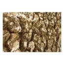 Search for tree bark art Abstract