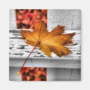 Search for fall leaf magnets Leafs