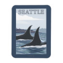 Search for orca magnets Whales