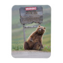 Search for grizzly magnets Carnivore