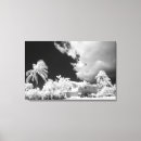 Search for nobody canvas prints Black