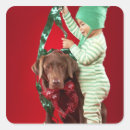 Search for dog decor stickers Animal