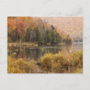 Search for vermont autumn postcards Fall