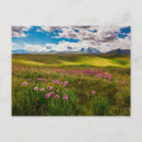 Search for altai postcards Mountain range