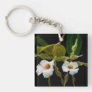 Search for orchid key rings White orchids