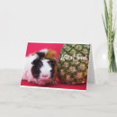Search for pig valentines day cards Guinea