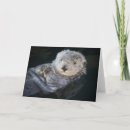 Search for otter cards Sea life