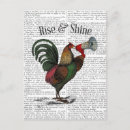 Search for rooster postcards Animals