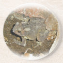Search for commons barware Amphibian