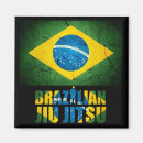 Search for mma magnets Jiu