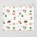 Search for rodents cards Pets