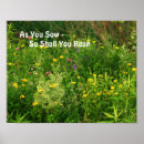 Search for scripture of inspiration photography Religious