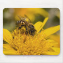 Search for bee image electronics Animal