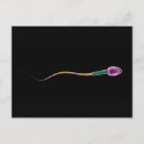 Search for single object postcards Biology