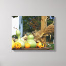 Search for gourd Autumn