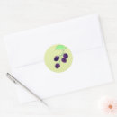 Search for hand drawn fruit stickers Botanical