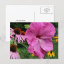 Search for moving thank you cards Nature