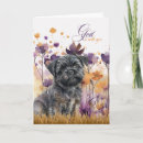 Search for affenpinscher cards Dogs