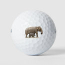 Search for elephant golf balls Cute